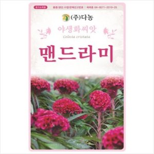 맨드라미씨앗 2g 오래가는 꽃 발아율 좋은
