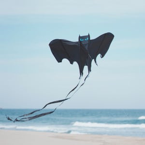 연날리기 [아이엠카이트 배트맨] 창작 디자인 대형 가오리연 - 초간단 조립 (고급 선물)