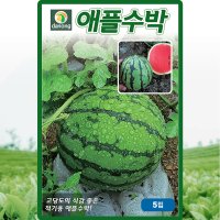 애플수박 씨앗 수박 씨 종자 5립