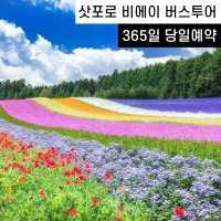 [실시간예약] 삿포로 비에이투어 버스 (준페이 예약 대기X 바로식사)