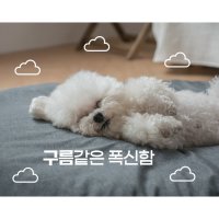 스테이 마약방석 다이소 애견 강아지 방석 코스트코 강아지빈백 포켓네스트