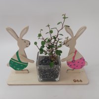 수경 식물 가드닝 키트 DIY 어린이날 선물