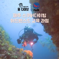 제주도 서귀포 PADI 스쿠버 다이빙 자격증 코스 [어드밴스드 교육]