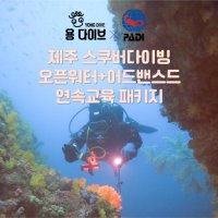 제주도 서귀포 PADI 스쿠버 다이빙 자격증 코스 [오픈워터+어드밴스드 패키지]