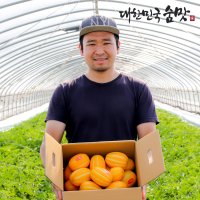 당도 자신감 성주참외 꼬마참외 못난이 한박스 5kg 3kg 10kg