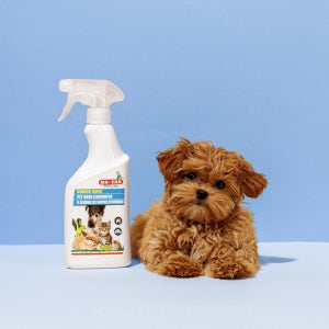 강아지 고양이 배변 오줌 냄새 탈취제 이태리 마프라펫 오도리 500ml