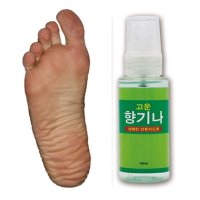 깁스발냄새 2개 진균제 항진균제 발꼬랑내 발바닥땀 풋세정제 신발 슬리퍼 냄새 제거 탈취