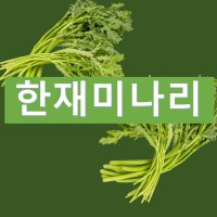 한재미나리 향긋한 미나리삼겹살 한재 청도