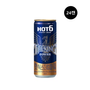 롯데칠성음료 핫식스 더킹파워 355ml 24캔 에너지음료 캔음료 탄산
