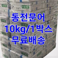 동전문어 10kg 도매