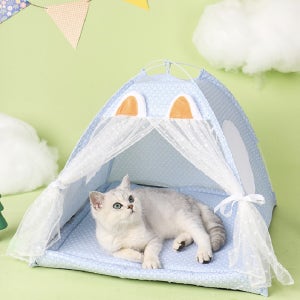 여름 고양이 집 방석 숨숨집 하우스 반려묘 텐트