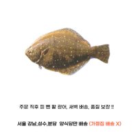 주문후 작업 필렛 순살 광어 국산 1마리 약 1kg(원물 2.2kg) 식자재