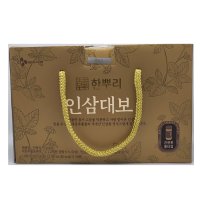 CJ 한뿌리 인삼대보 100ML 10입