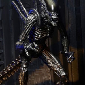 에일리언 피규어 에이리언 관절 액션 굿즈 16cm Alien 프레데터