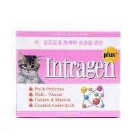 인트라젠 플러스 유산균 강아지 고양이 장건강 소화 설사 영양제 30p