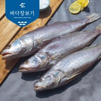 반건조생선 민어조기 생선구이 제사생선 부산 바다장보기