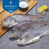 반건조생선 침조기 긴가이석태 생선구이 제수용 황민어 손질 제사생선 부산 바다장보기