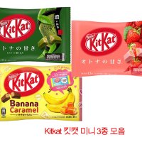 KitKat 킷캣 미니 초콜릿 말차 딸기 바나나 카라멜 3종