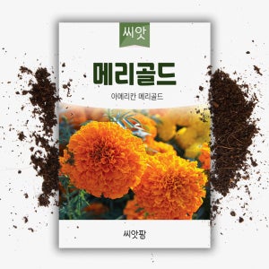 야생화 꽃씨 메리골드 씨앗 100립 천수국 만수국 국화과 한해살이 일년생
