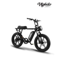 VKGBIKE 지디자전거 펫바이크 자토바이 20인치