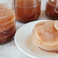 이로운 콤부차 스코비(KOMBUCHA SCOBY) [콤부차 만들기]