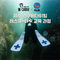 제주도 서귀포 PADI 스쿠버 다이빙 자격증 코스 [레스큐+EFR 교육]