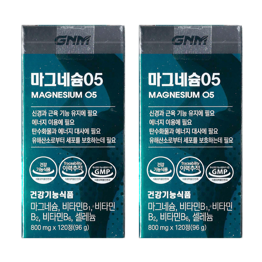 GNM자연의품격 마그네슘05 800mg x 120정, 2개