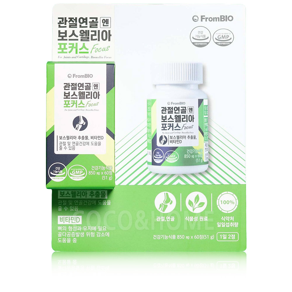 관절연골엔 보스웰리아 포커스