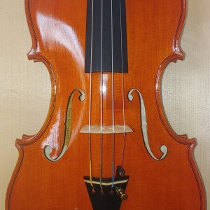 유재현 바이올린
