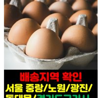 (당일발송) 일반왕란 30구 - 서울시 중랑 노원 광진 동대문 경기구리시 달걀계란