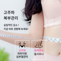 고주파 복부 체지방 관리 [강남]도곡동/도곡 피부관리