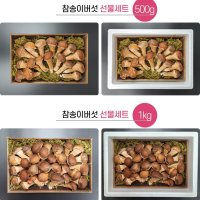 참송이버섯 선물세트 500g 1kg(12시전 구매시 당일 출고가능)