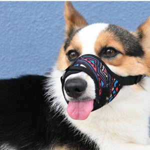 위드레오 강아지 메시 입마개 짖음방지 블루에스닉S