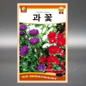 다농 과꽃 1g 야생화 국화과 과꽃 씨앗 씨 종자