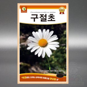 다농 구절초 1000립 야생화 들국화 노지월동 다년생 꽃 구절초 씨앗 씨 종자