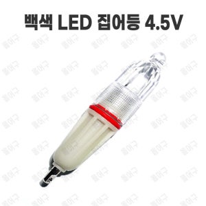 백색 LED 갈치 집어등 4.5V 갈치낚시