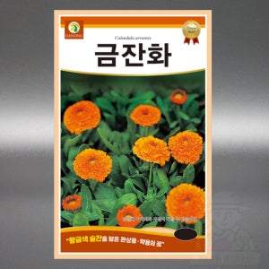 다농 금잔화 50립 야생화 국화과 한해살이 난지다년생 꽃 금잔화 씨앗 씨 종자