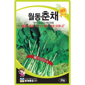 세계종묘 월동춘채 씨앗 20g 하루나 춘채씨 봄철나물 종자