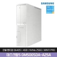 삼성데스크탑 DM500SDA-A25A 4G SSD256G 사무용 인강용