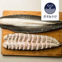 활 바다 장어 산지직송 1kg 국산 손질 양념제공 구이 자연산 붕장어 아나고