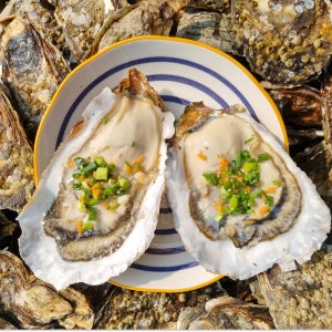 섬진강벚굴 벗굴 강굴 광양벚굴 3kg 5kg 자연산