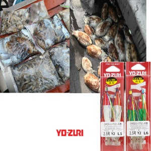 [피싱그라운드]요즈리틴셀 수박 갑오징어 레이저에기