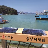 [땅끝마음] 청정완도 바다 자연산 돌미역 산모미역 선물세트