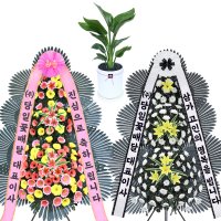 광교개업화분 축하 화분배달 화환