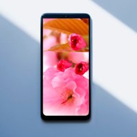 [휴대폰 배경화면]4월제주의 또 한번의 봄,겹벚꽃