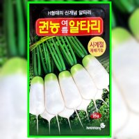 권농 여름 알타리씨앗 25g 알타리씨 종자