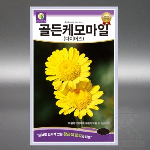 골든 케모마일 1g 다이어즈 카모마일 허브 국화과 다년생 야생화 고급 꽃 씨앗 씨 종자