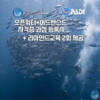 [오르카다이브] (이벤트) PADI 오픈워터 + 어드밴스드 오픈워터 패키지