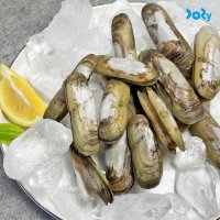 국내산 제철 맛조개 250g+250g (30-40미 내외)