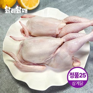 국내산 대량 손질 냉동 정품 삼계닭 45호 50호 55호 삼계탕용 25마리